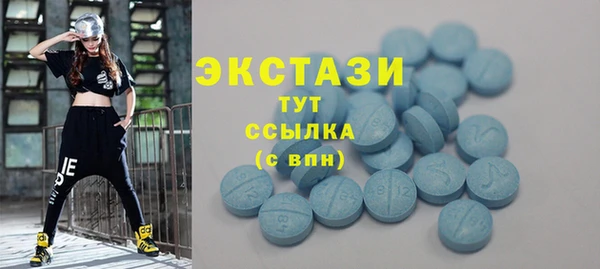 СК Каменка