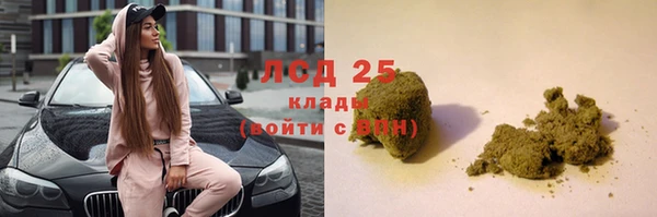 мдпв Каменногорск