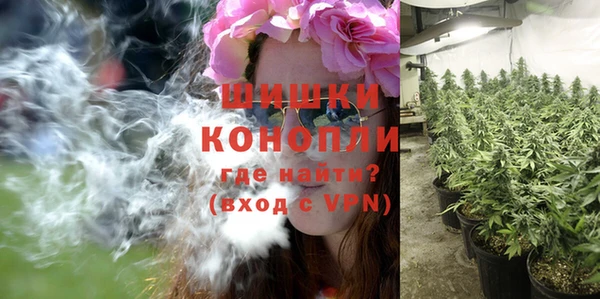 мдпв Каменногорск